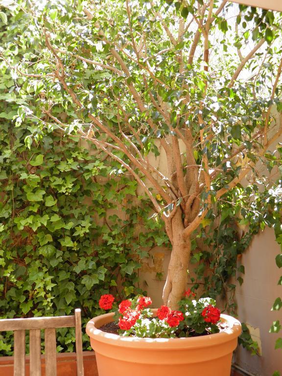 Suitur Courtyard Apartment Barcelona Zewnętrze zdjęcie
